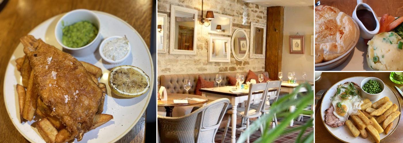 Tawny Owl Darlington