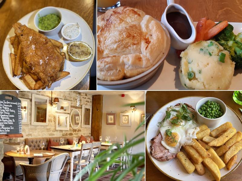 Tawny Owl Darlington