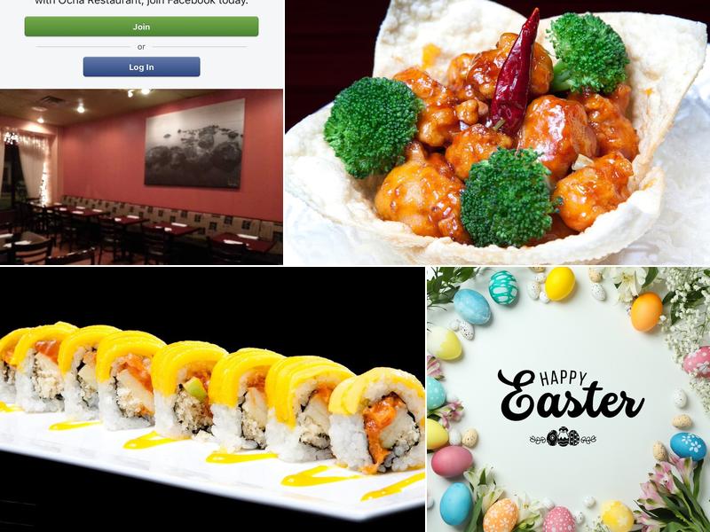 Ocha Asian-Japanese Cuisine