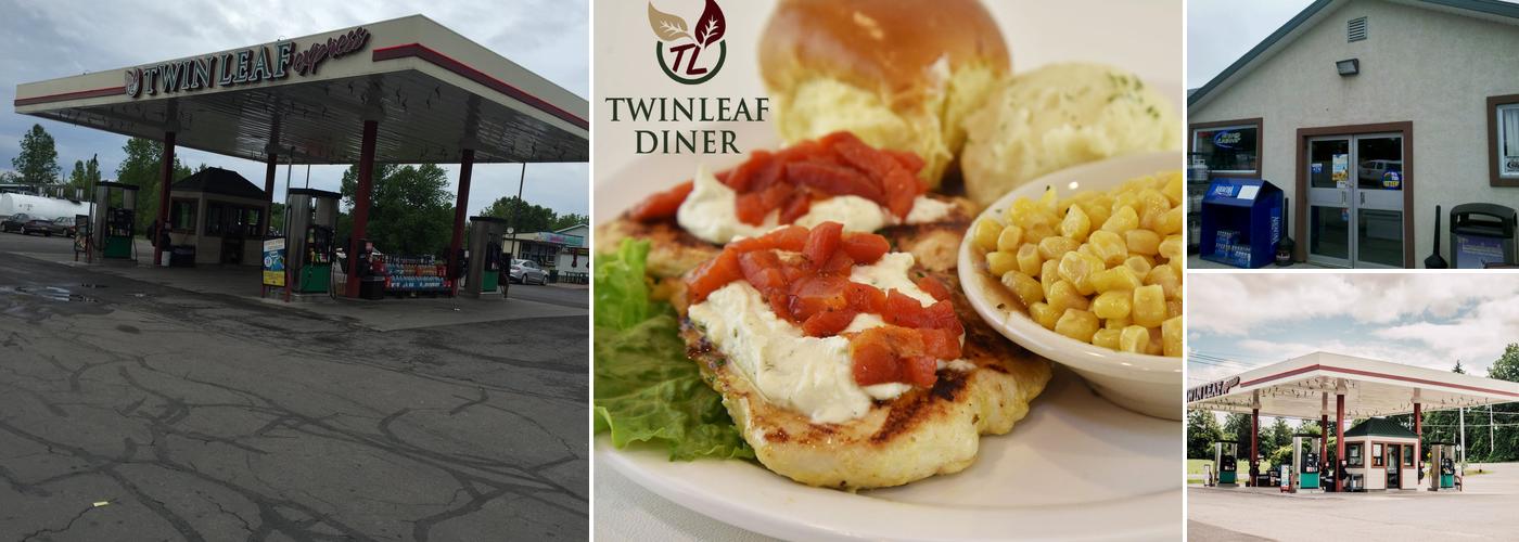 Twinleaf Fort Covington