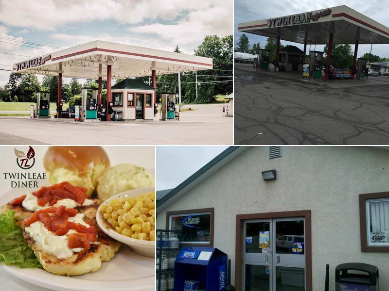 Twinleaf Fort Covington