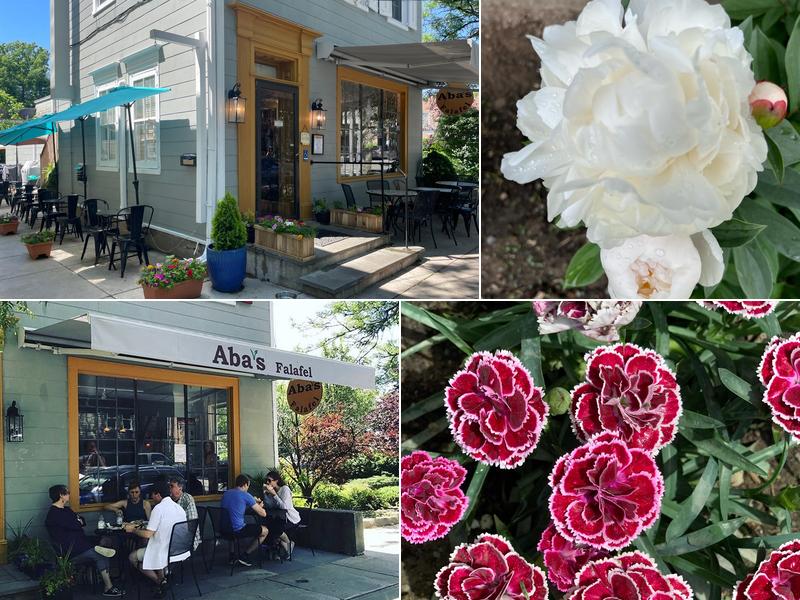 Aba's Falafel 54 E Market St, Rhinebeck