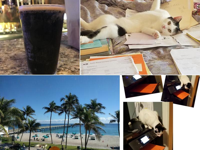 Moondog's Lounge 24 State St, Auburn