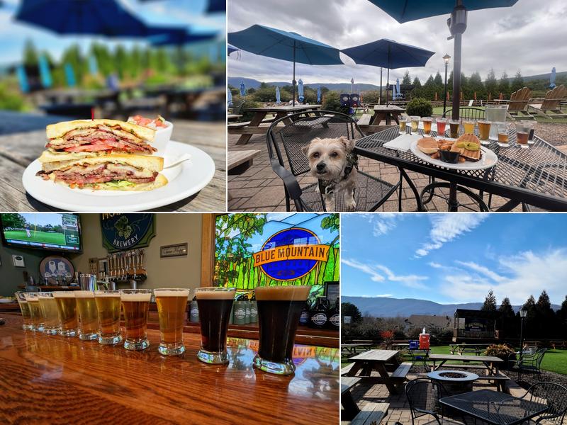 Blue Mountain Brewery 9519 Critzer Shop Rd, Afton