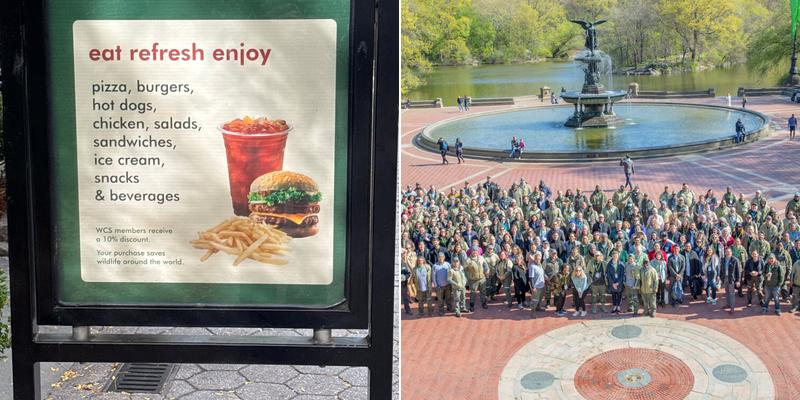 Dancing Crane Cafe Menu