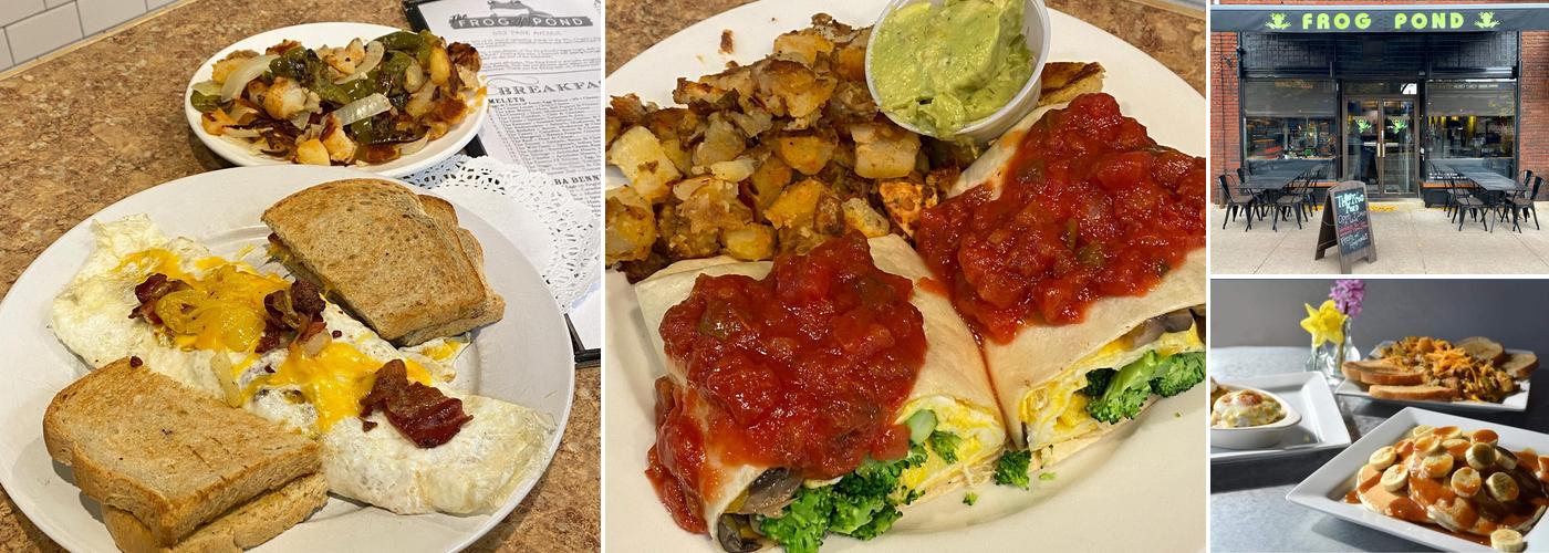 The Frog Pond on Park