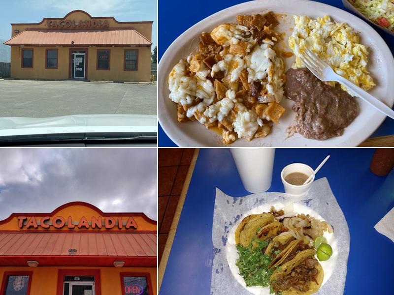 Tacolandia 407 Hooks Ave, Donna