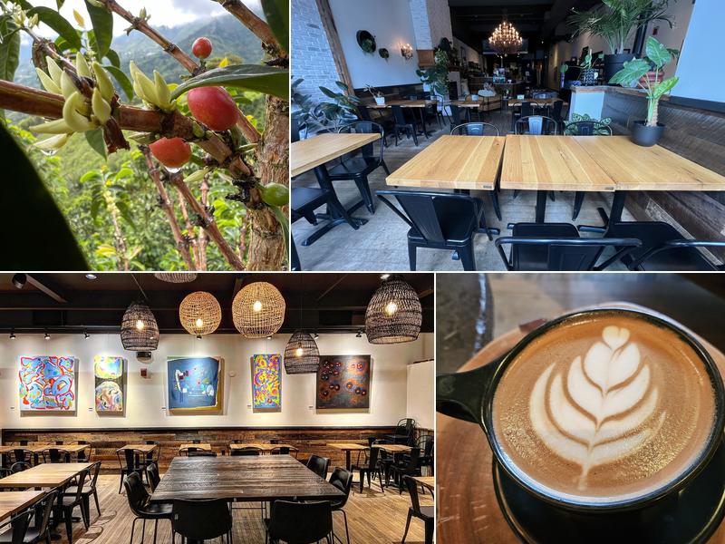 Vivid Coffee Roasters