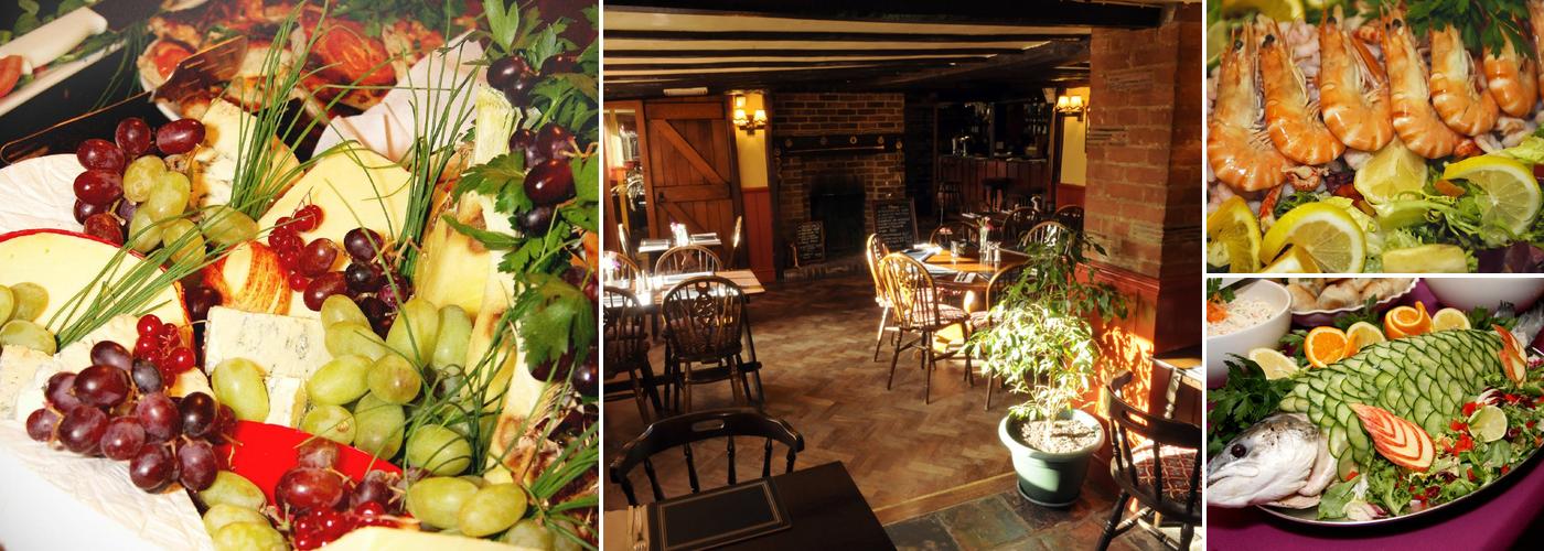 Bush, Blackbird & Thrush