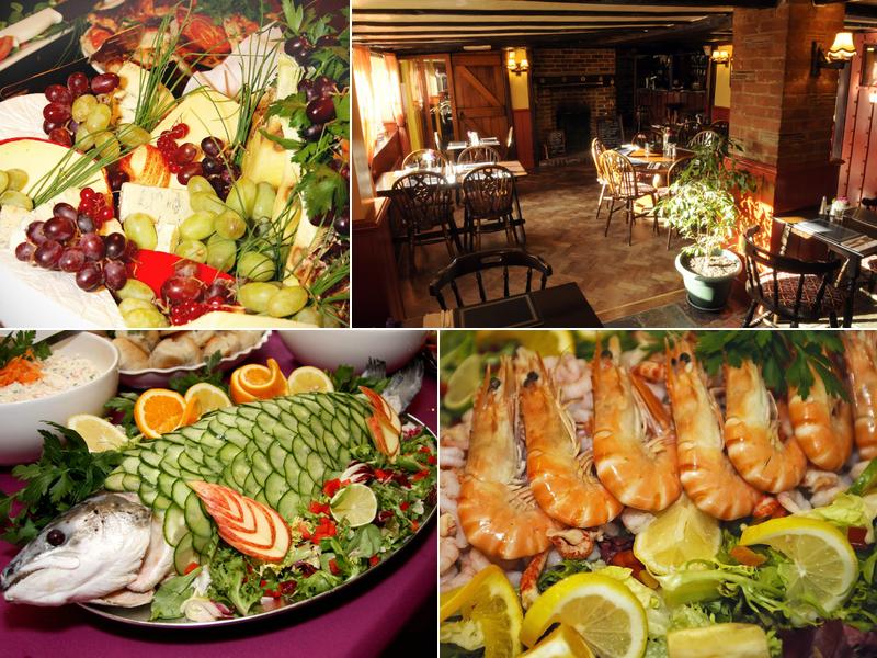 Bush, Blackbird & Thrush