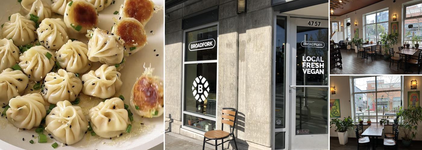 Lin Handmade Dumplings & Noodles