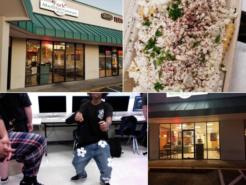 Fork Mediterranean Grill 21919 66th Ave W STE G, Mountlake Terrace