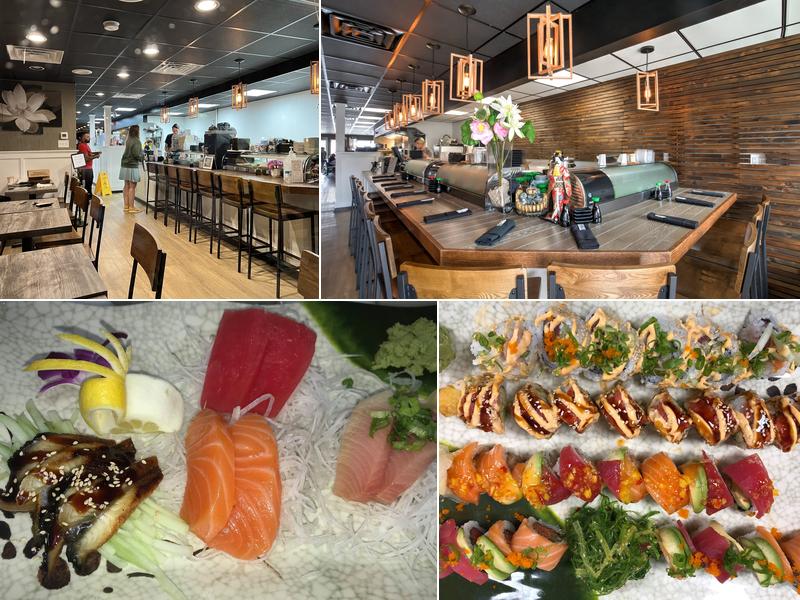 Water Lily Japanese Cuisine