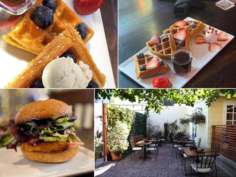 SunCafe Organic 10820 Ventura Blvd, Studio City