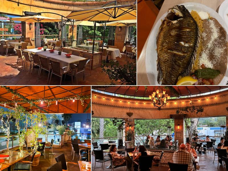 Anejo Cantina and Grill 14755 Ventura Blvd C, Sherman Oaks