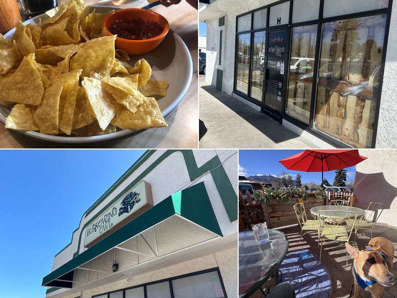 Burrowing Owl 1791 S 8th St, Colorado Springs