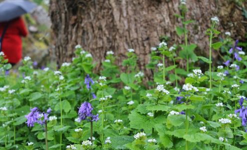 Benjamin Jepson Magnet School