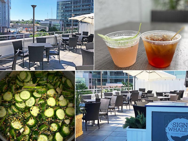 Sign of the Whale 6 Hbr Pt Rd, Stamford