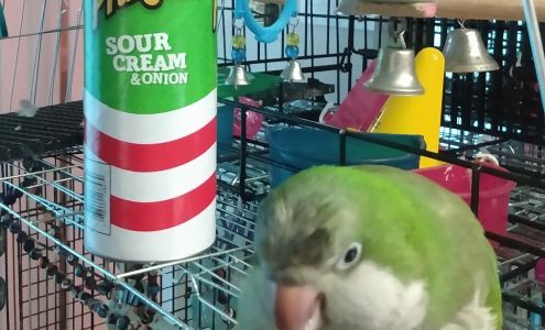 Mangonia Park Liquors