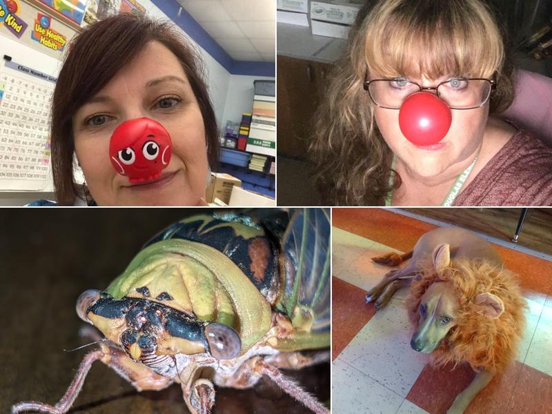 Mojac's 1100 E B St, Belleville