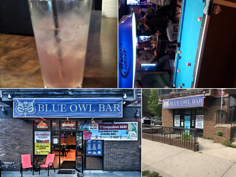The Blue Owl Bar