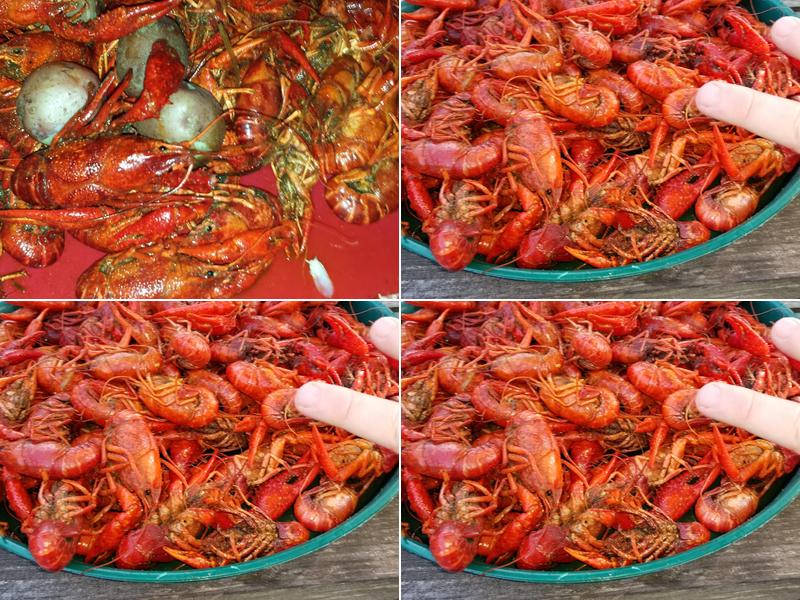 Sam's Cove 3609 Davis Rd, Westlake