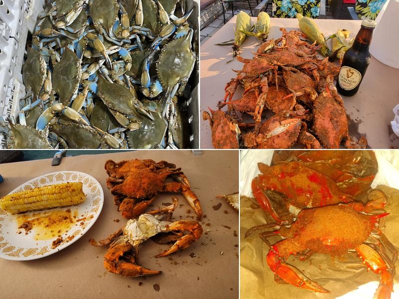 Lady Frances Crabhouse