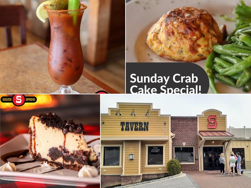 Silver Spring Mining Company