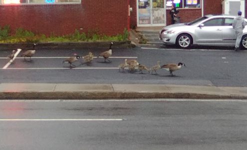 Leahy's Liquor Store Taunton