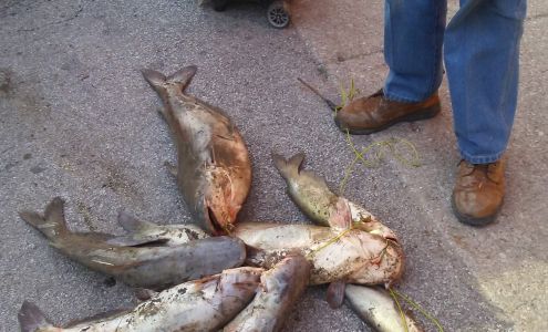 C & H East Saint Louis