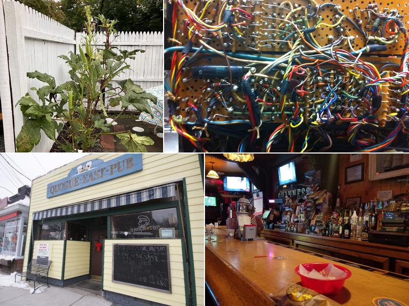 Quogue East Pub (QEP)