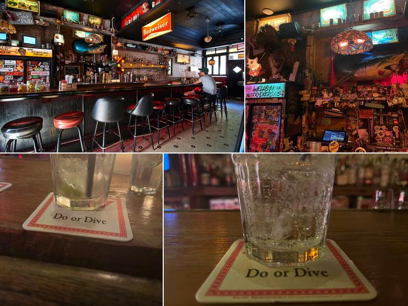 Do or Dive Bar