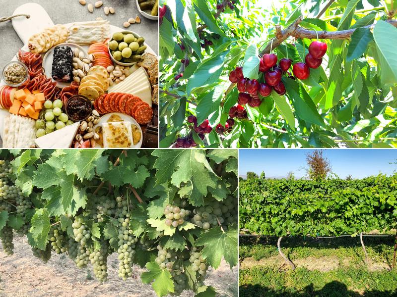 Williamson Orchards & Vineyards