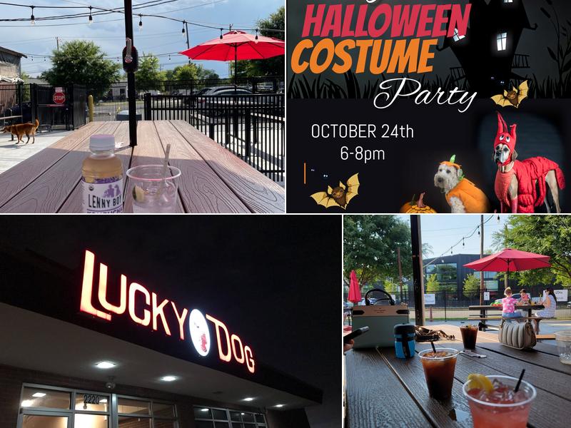 Lucky Dog Bark - Charlotte