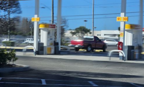 Shell Tarpon Springs