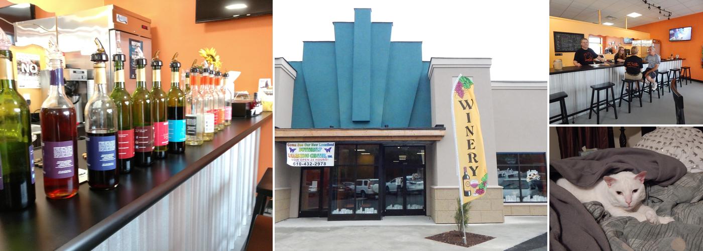 Sleepy Cat Urban Winery