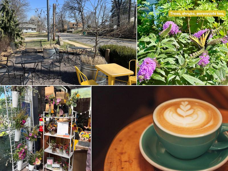 Maypop Coffee & Garden Shop
