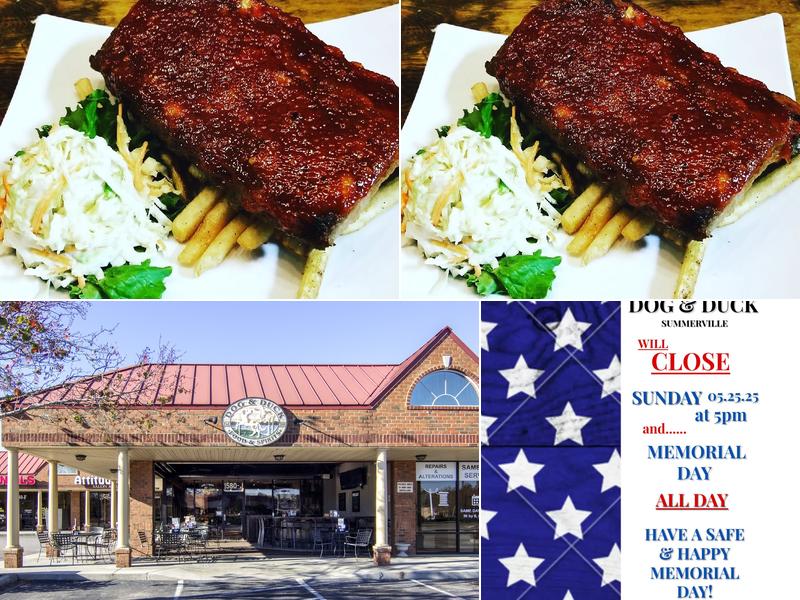 Dog and Duck in Summerville 1580-J Old Trolley Rd, Summerville