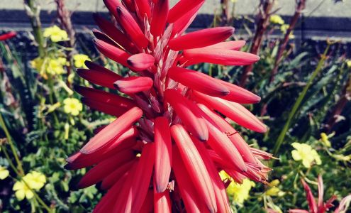 Val's Heritage Market