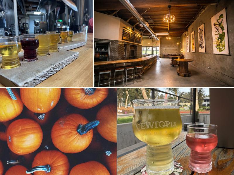 Newtopia Cyder 10045 Carroll Canyon Rd A, San Diego