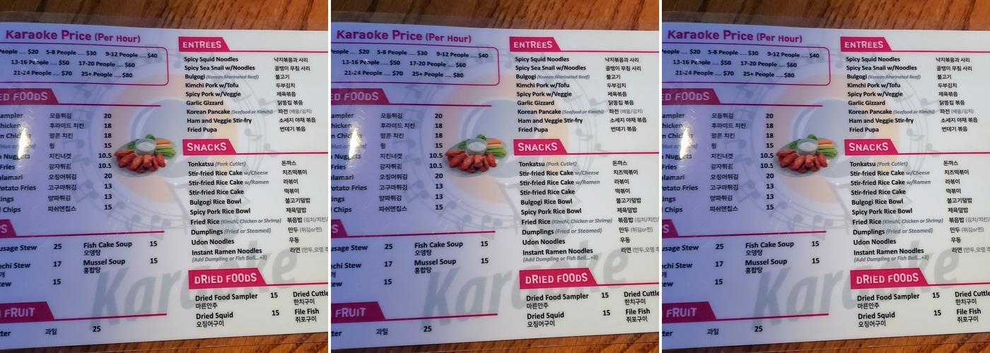 Echo Karaoke Menu