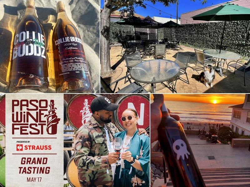 Wine Boss Paso Robles 1317 Park St, Paso Robles