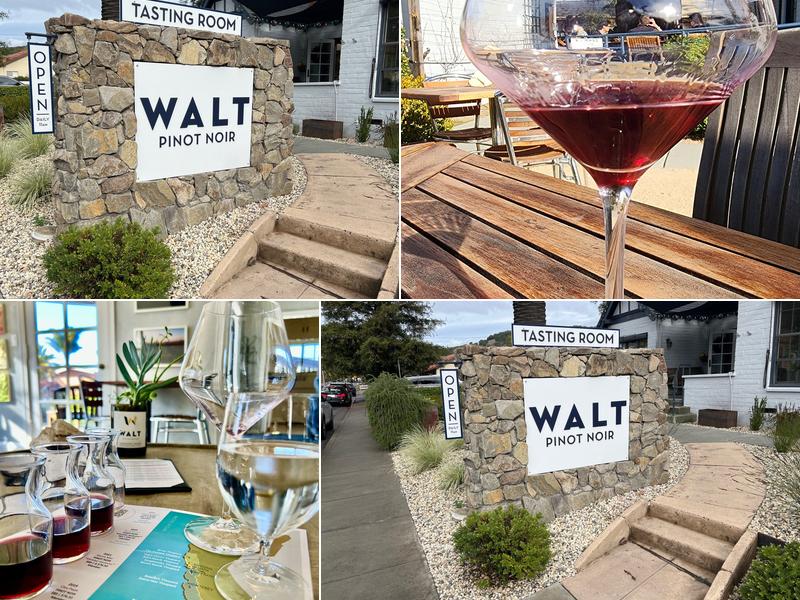 WALT Wines 380 1st St W, Sonoma