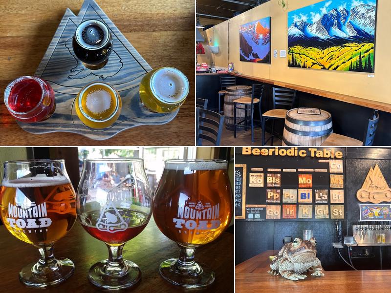 Mountain Toad Brewing 900 Washington Ave, Golden