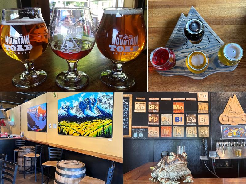 Mountain Toad Brewing