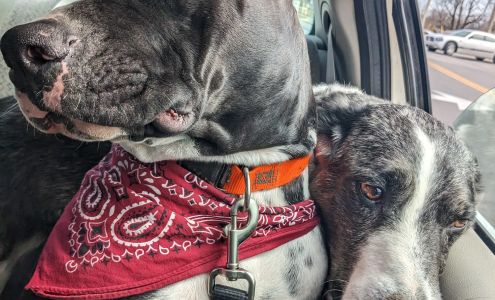 Di Vall Retail Liquor Store Arkansas City