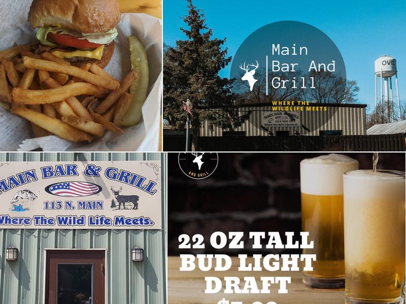 main bar & grill 113 N Main St, Ovid