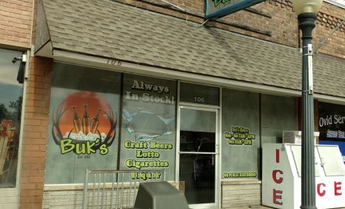 Ken's Buggy Stop Ovid