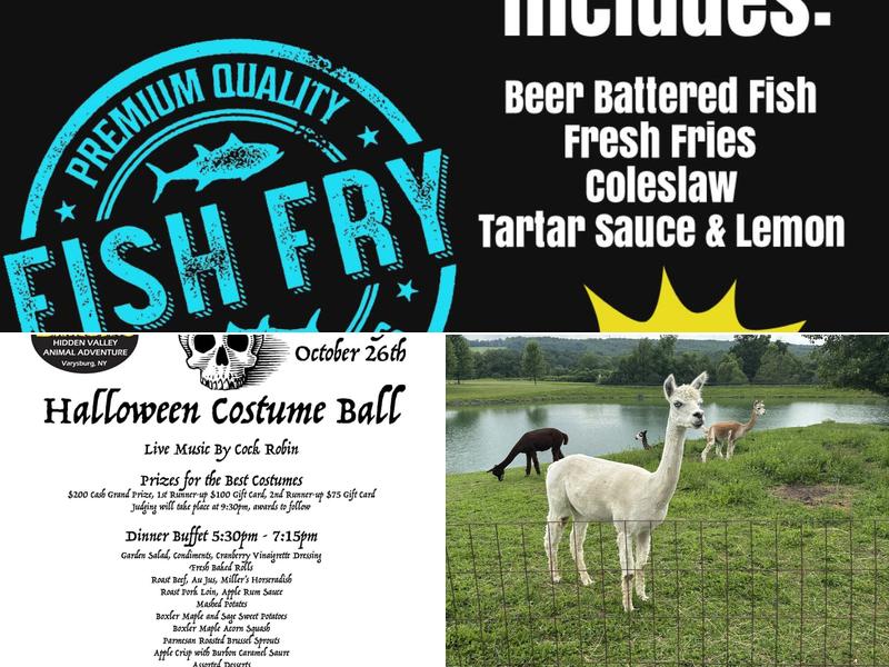 Hidden Valley Animal Adventure Menu