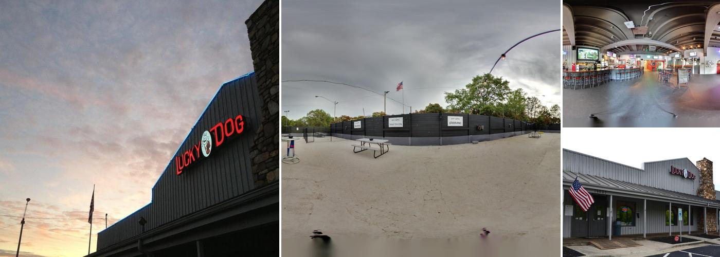 Lucky Dog Bark - Lake Norman